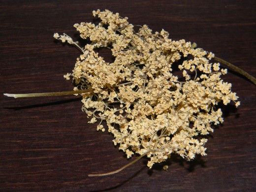You will need dried elder flowers