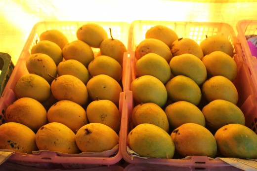 Alphonso Mangoes