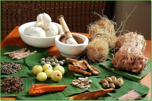 Some ingredients used in Ayurveda.