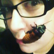 CrazyReptileLady profile image