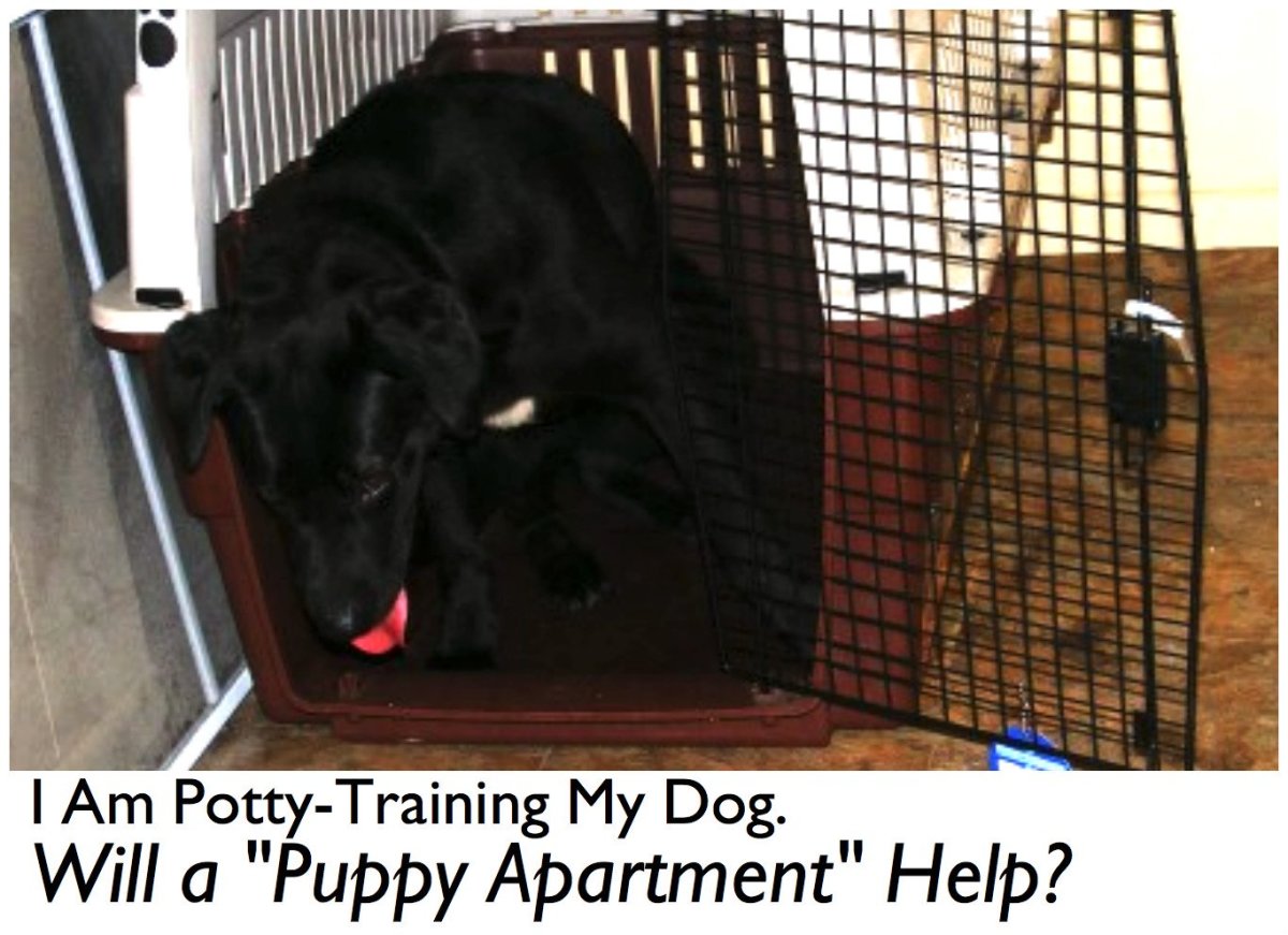 The Pros and Cons of Using a Puppy Apartment for Potty