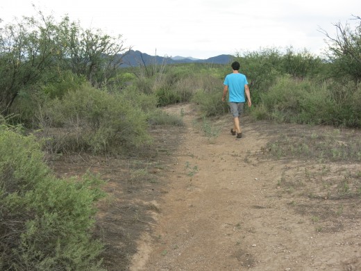 Trail to Presidio Santa Cruz de Terrenate is mostly along flat ground