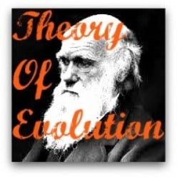 Charles Darwin And The Theory Of Evolution