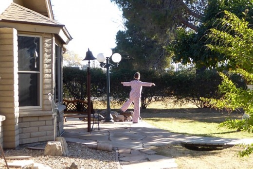 Morning stretch between the fruit trees and koi pond