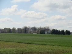 Looking across the fields