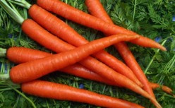 Incredible Health Benefits Of Carrots