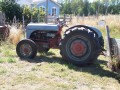 July On the Farm: The Dale Saga Continues