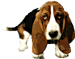 Check your Dog to make sure he or she doesn't get MRSA from you.