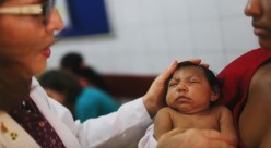 Zika virus: the alert can bring back a diligent use of toxicant DDT