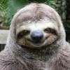 dacklin profile image