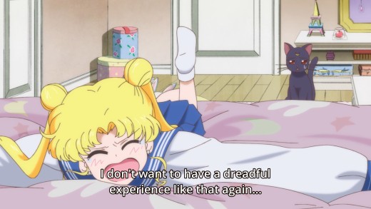 What everyone says after viewing a Sailor Moon episode