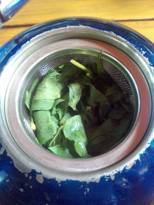 Make your own tea from the tea leaves you pick at the tea garden.