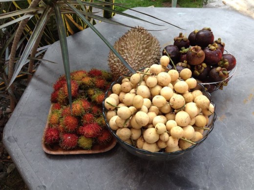 The purple colored mangostana or mangosteen fruit (above right)