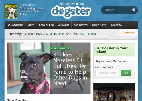 websites for dog stuff