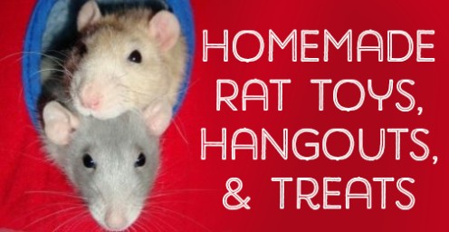 Homemade Toys, Beds, Cages, and Accessories for Pet Rats Homemade Toys, Beds, Cages, and Accessories for Pet Rats