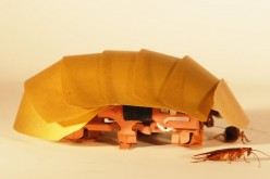 A $6.4 Million Robotic Cockroach