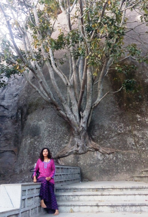 Trees Grow From the Rocks - Devanarayanadurga