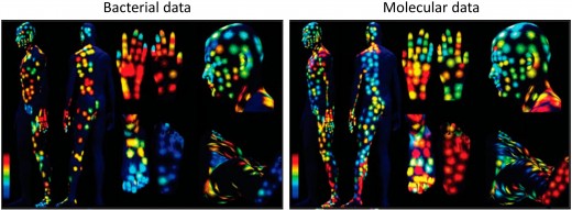 Body cells vs. Bacterial cells