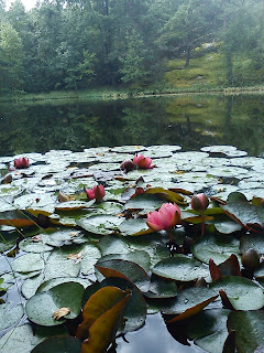 Nature's wonders offer delight and healing with one's soul weary of days travel. Upon its grace seen beauty within and surrounding life as a smile dances with joy and laughter.