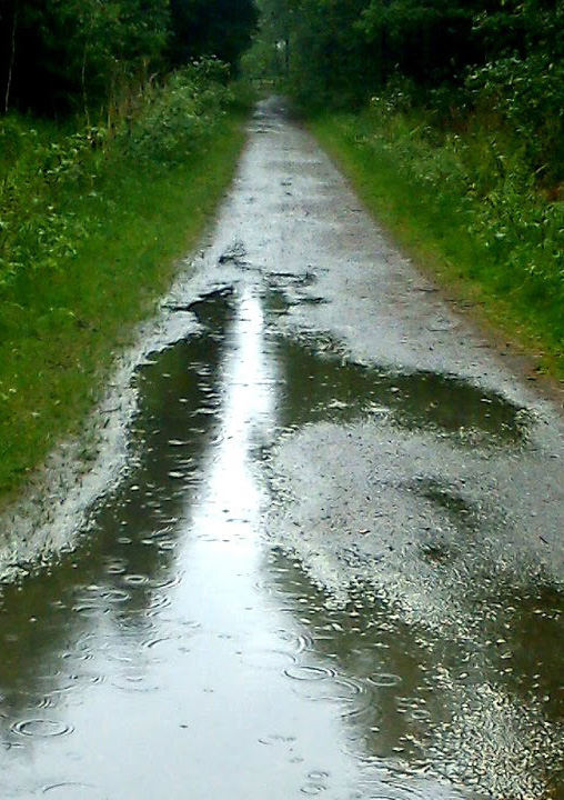 Seen along one's path may be obstacles like puddles full of its own dangers. Steps may become dampened as the spirit too joins. Hope remains perhaps with pen in hand wandering.