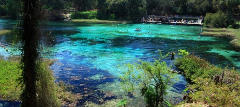 Rainbow Springs State Park Swimming Area