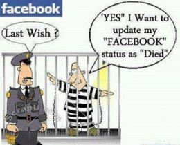https://usercontent2.hubstatic.com/12896271_f260.jpg