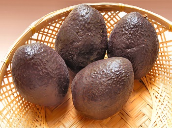 Avocados are an allowed food item on the ketogenic food plan