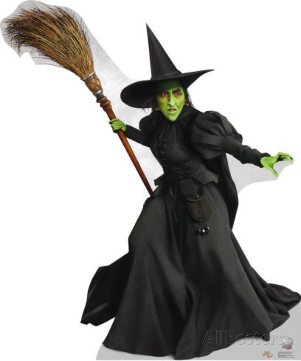 Image result for homemade witch costume