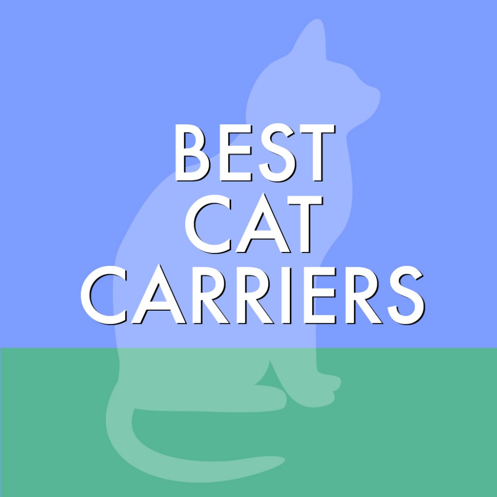 best-cat-carriers-pethelpful