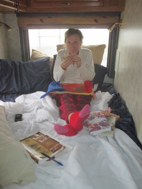 Some days require books and snacks in your bed fort.