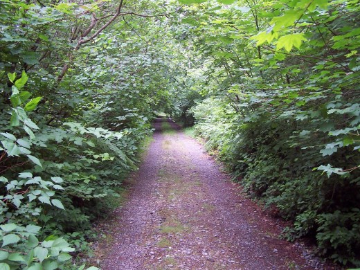 Taking a road less travelled