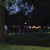 A lovely row of brightly colored and lit up flowers in the distance. A lovely row of brightly colored and lit up flowers in the distance.
