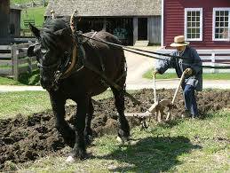 Tilling the land... Hoping for a good yield...