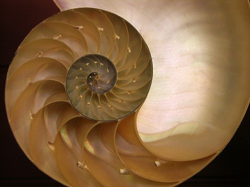 A beautiful series of Curves  and, I think, a series by Fibonacci as well.