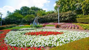 This photo is from the internet, it is a beautiful flower display, believed to be taken in New Farm Park Brisbane. Newfarm Park in Brisbane, is known to some people as the roses garden, but I have not been able to find a good enough photo to show you