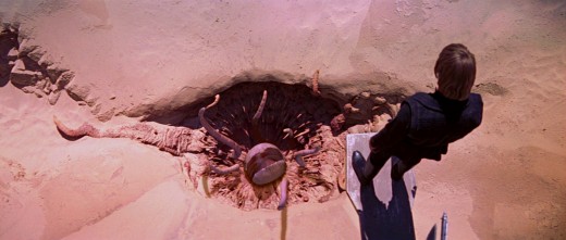 Luke standing before the Sarlacc pit from Star Wars: Return of the Jedi