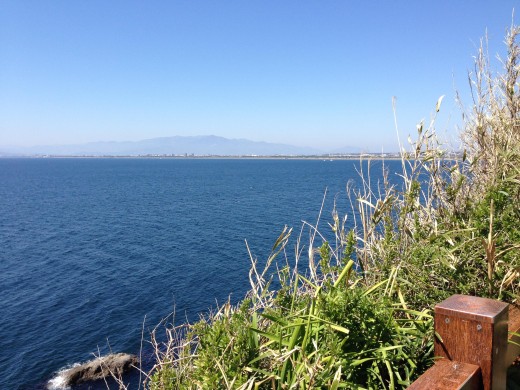 Image of a waterscape with a shadowy mountain in the background and grasses in the foreground.