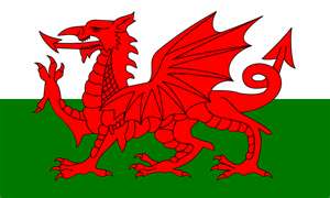 The Welsh flag:  Welsh people are patriotic and embrace their culture.