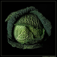 lovely, hearty Savoy Cabbage...One Constituent of Bubble and Squeak