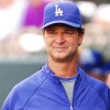 Baseball Legend Don Mattingly