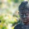 Issues with White, Western Buddhists