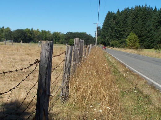 On the road to Union