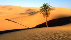 Tips for desert camping India