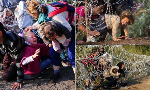 Refugees Crossing Border In Hungary While Girls Hair Gets Tangled In The Barbed Wire.