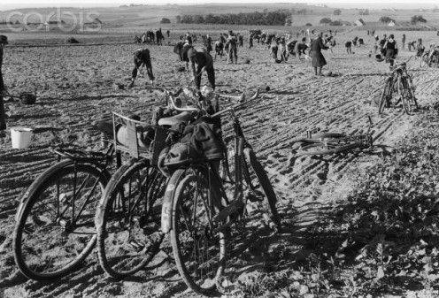  Post War Era 1948