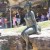 Greg James made this "Bella" from silicone bronze. Measures 125cm x 60cm x 57.5cm. This bella represents "The freedom to be who you are and to enjoy what is" Greg James made this "Bella" from silicone bronze. Measures 125cm x 60cm x 57.5cm. This bella represents "The freedom to be who you are and to enjoy what is"