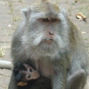 peel zoo profile image