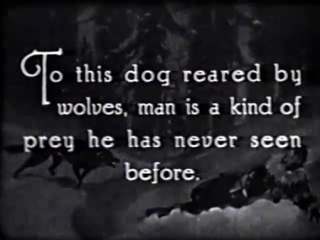 Image projected of Rin Tin Tin in one of the movies.