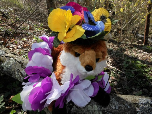 I wanted my carefully constructed photo of dancing flames here. Apparently we are going with the fox from His altar. Because it's funny and He likes funny.