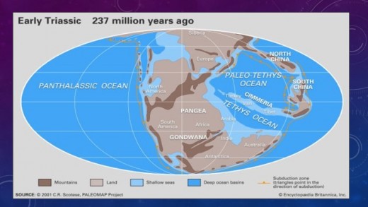 Figure 2 - A map showing the conditions and sea levels of the early Triassic (Scotese 2003).